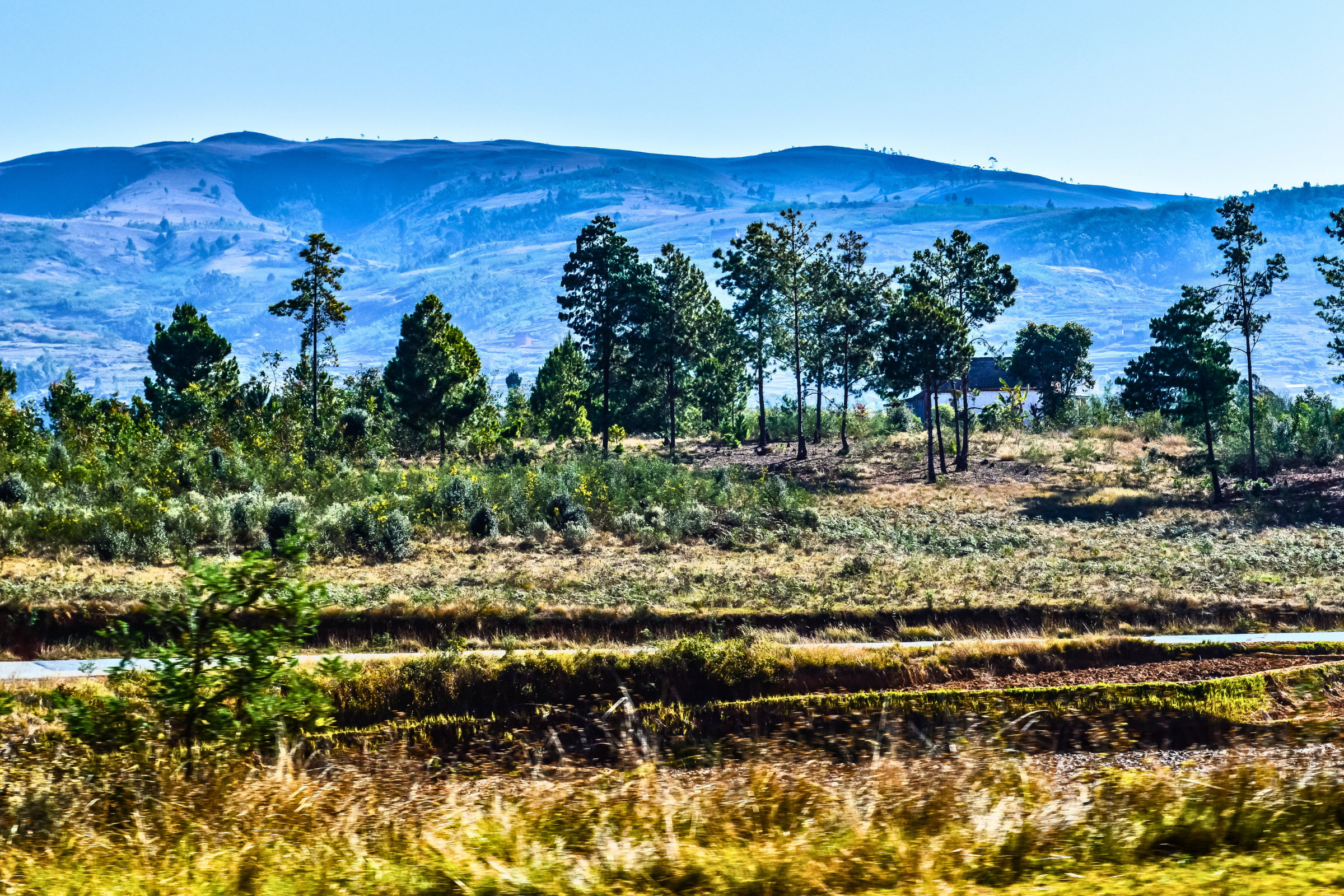 fianarantsoa (4).webp